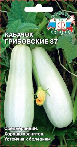 Семена кабачок Грибовские 37 СЕДЕК 2г